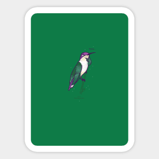 Hmmming Bird Sticker